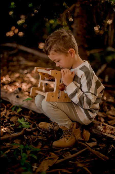 Wooden Microscope